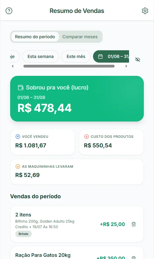 Resumo de vendas, com quanto sobrou de lucro já calculado.